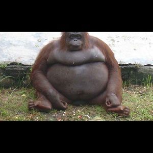 Meet your Posher, Christian